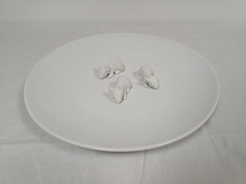 Decoratieve schaal Pols Potten