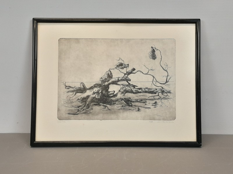 Ets van een boomstronk - Joris Van de Voorde - 1988