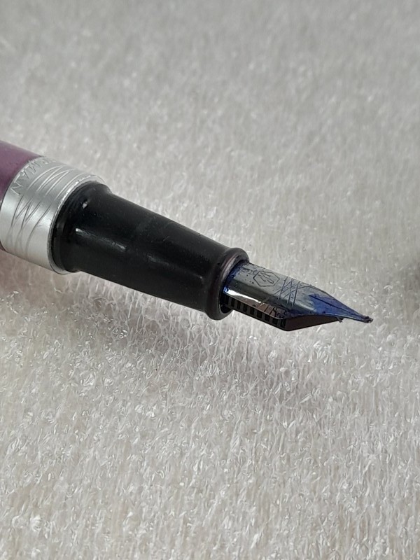 Elegante vulpen van Waterman Audace Enchanted Garden