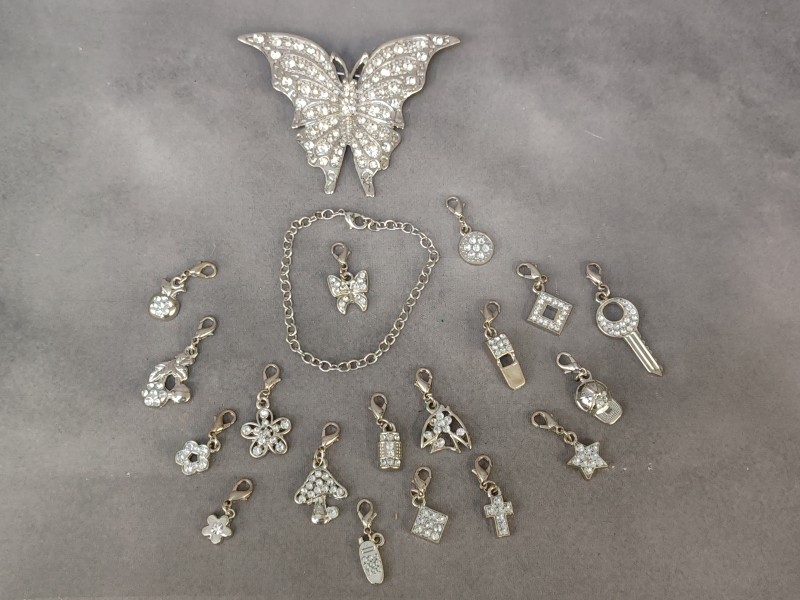 Set glanzende bedels met vlinderbroche