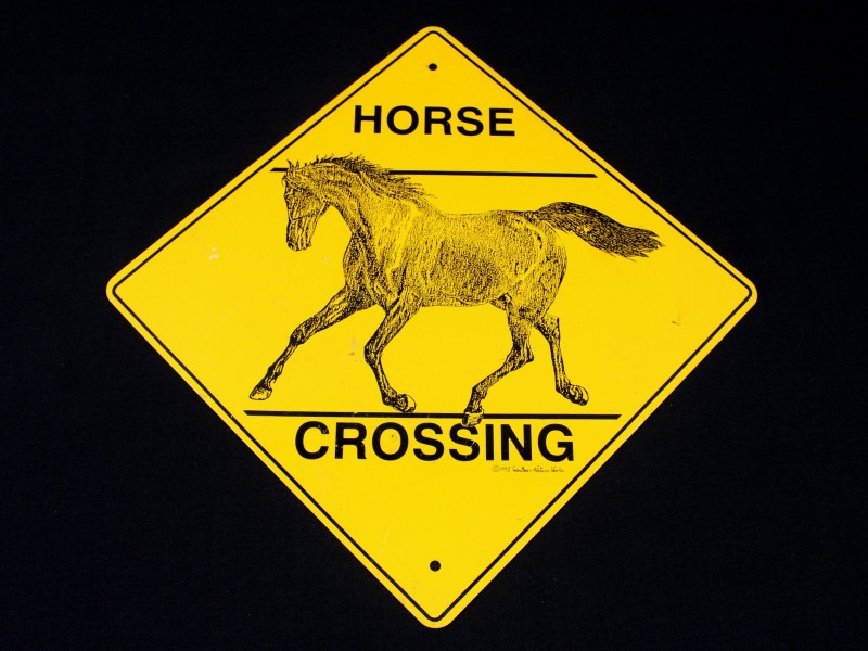 Authentiek Amerikaans Verkeersbord ‒ Horse Crossing (Southern Nature Works, 1995)