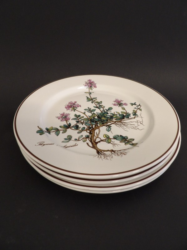4 identieke borden Villeroy & Boch - Botanica