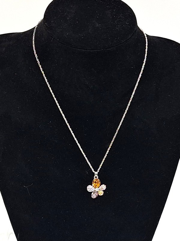 Mooie ketting en hanger Dr. Pierre Ricaud - LDADPR