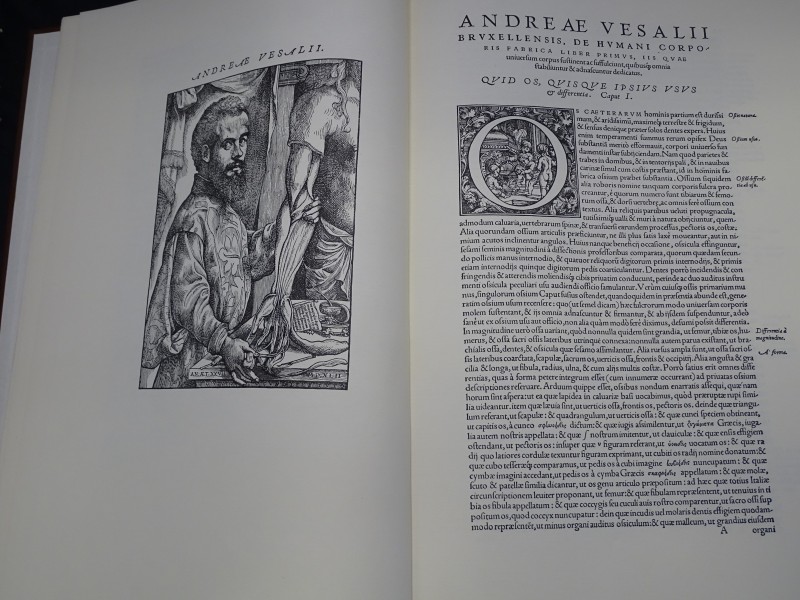 Groot boek Vesalius